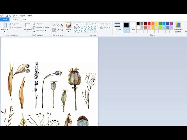 Как картинку обрезать в Paint за 1 минуту смотреть онлайн