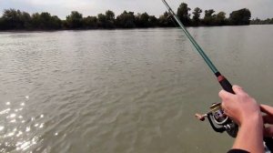 Лещ на комбикорм и сало. Рыбалка на Кубани.