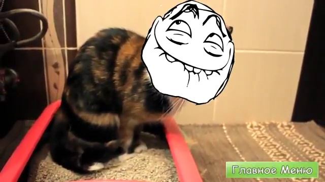 ЗВОНЮ МОМО. СТУК В ДВЕРЬ! МОМО ОКАЗАЛАСЬ ГРУПОЙ ХАКЕРОВ! ТРОЕ ПЫТАЛИСЬ ВЫЛОМАТЬ ДВЕРЬ! смотреть онлайн