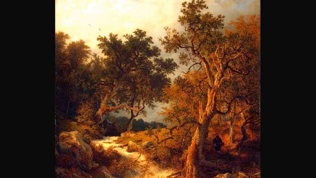 Hermann Goetz (1840-1876) : Piano Concerto Nº1 in E flat major (1861) смотреть онлайн