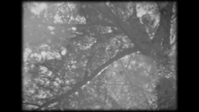 Дача в Челюскинской. Год примерно 1975 смотреть онлайн