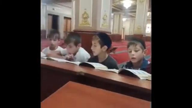 Медресе шайх Али Митаев смотреть онлайн