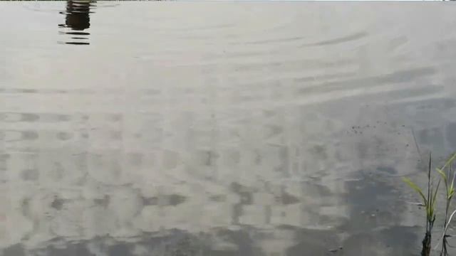 ✅ПОИСК ЗОЛОТА НА ПЛЯЖЕ. ПОИСК ЗОЛОТА МЕТАЛЛОИСКАТЕЛЕМ. КОП НА ПЛЯЖЕ.