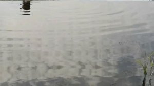 ✅ПОИСК ЗОЛОТА НА ПЛЯЖЕ. ПОИСК ЗОЛОТА МЕТАЛЛОИСКАТЕЛЕМ. КОП НА ПЛЯЖЕ.