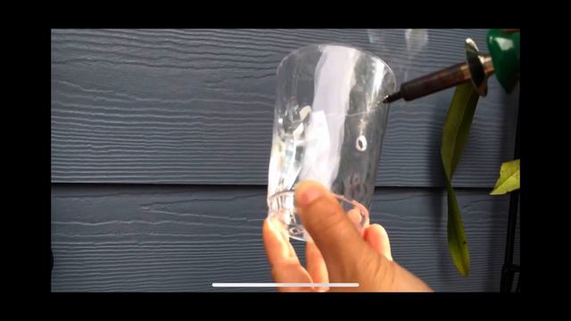 Simple Care Guide to Phalaenopsis Orchids, How to Repot & Rebloom too смотреть онлайн