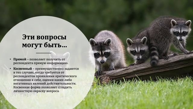 11. Анкетирование как метод исследования смотреть онлайн