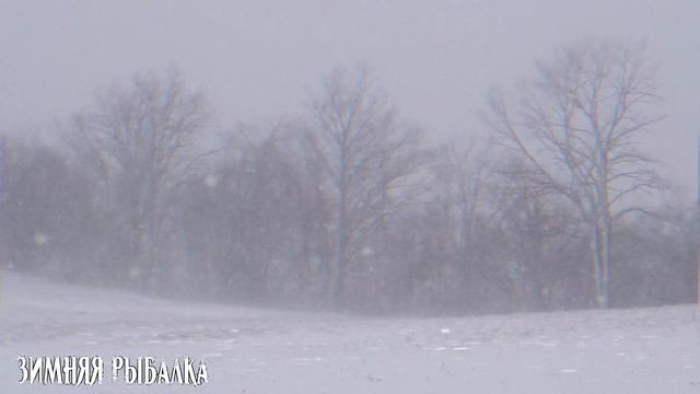 ЗИМНЯЯ РЫБАЛКА | ОЗЕРО В ДАЧНОМ ПОСЁЛКЕ | Страшная история смотреть онлайн