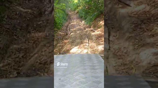 ПРИРОДА ДВИЖЕНИЯ. смотреть онлайн