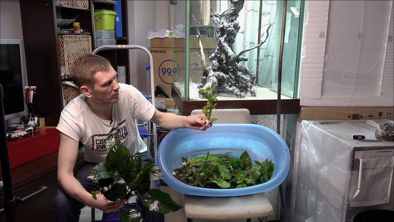 Последний перезапуск кубика Прощай, Легенда смотреть онлайн