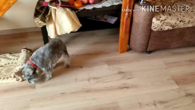 Разбросало нас по свету по всем странам. Как жить дальше? Жизнь за рубежом 2020 смотреть онлайн