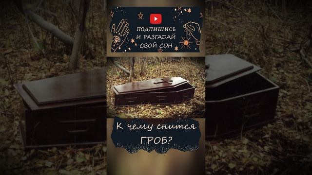 К чему снится ГРОБ #shorts #кчемуснится #сонвруку смотреть онлайн