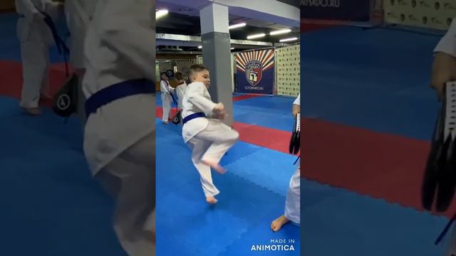 Как сдают на синий пояс с красной полосой #taekwondo #trending #like #михаилчистяков #motivation смотреть онлайн