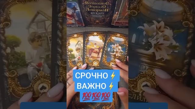 СРОЧНО⚡️ВАЖНО⚡️??? смотреть онлайн
