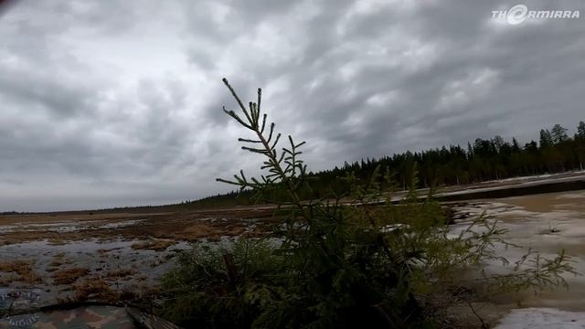 ВЕСНОВКА 2023 \ Часть 2 \ ПЕРВАЯ УТРЯНКА \ ЕСТЬ ПЕРВЫЙ КРЯКАШ смотреть онлайн