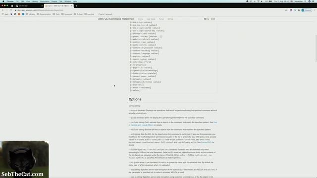 Fixing CORs issue on Cloudfront with Terraform смотреть онлайн