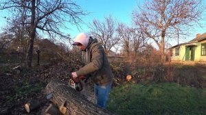 ДОМ В ДЕРЕВНЕ | ЗАГОТОВКА ДРОВ НА ЗИМУ | ПИЛИМ БЕНЗОПИЛОЙ