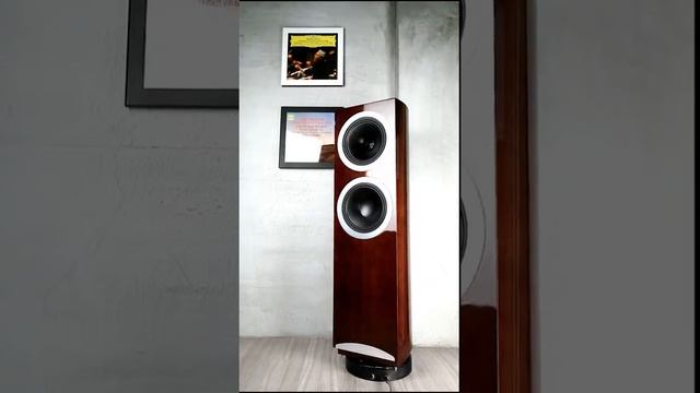 TANNOY Definition DC10 T  (品樂音響、音響、喇叭、裝潢、音樂、影音、新聞)