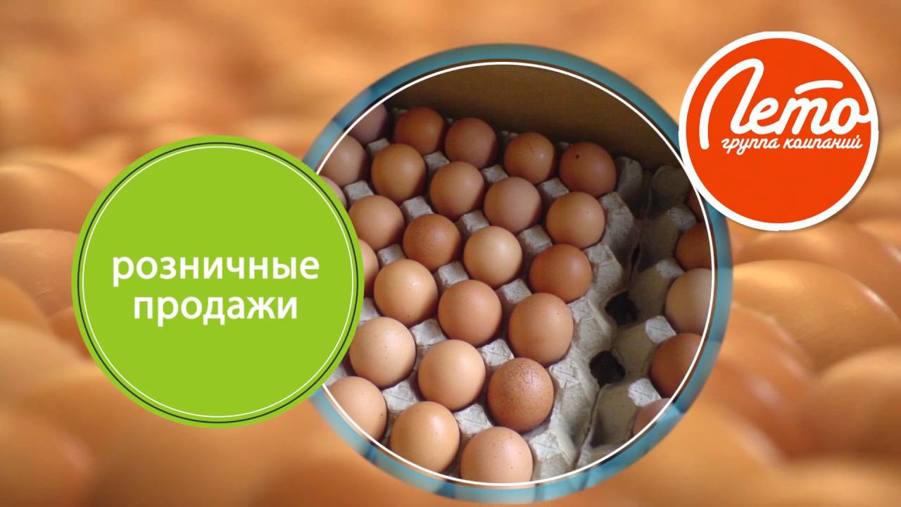 ЛЕТО группа компаний смотреть онлайн