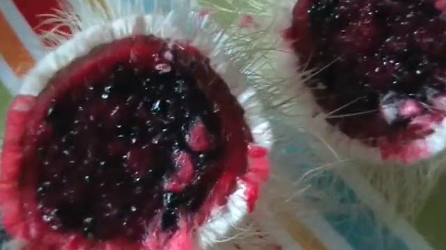 плод из кактуса называется питая смотреть онлайн