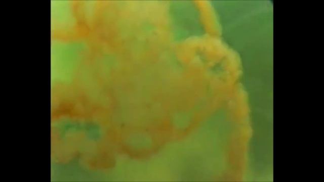 Тип кишечнополостные смотреть онлайн