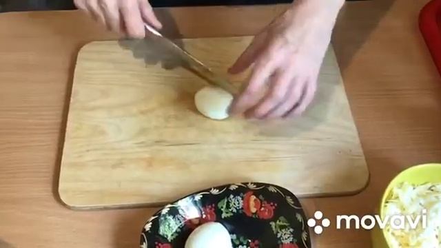 Домашние Животные и Их Уход