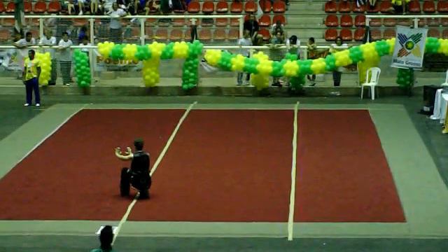 Rafael Viana - 20° Brasileiro kung fu / wushu - Nanquan смотреть онлайн