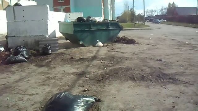 23апреля2021 контейнерная площадка Театральный проезд 5