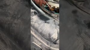 Chevrolet Equinox  pampers benzanasos almashtrish#my#замена сеточка бензонасоса на Шевроле эквинокс