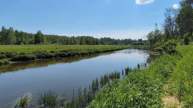 Река Уводь. ч.8. Июнь 2024 смотреть онлайн