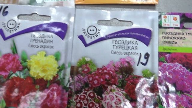 А мы сеем в феврале, многолетники(Архив)