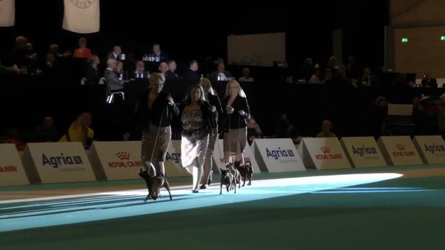 FCI European Dog Show 2023 - Thursday