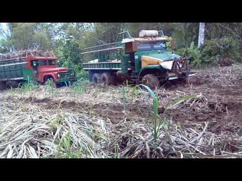 Таких грузовиков вы еще не видели!!! Вот как возят грузы по бездорожью в разных странах смотреть онлайн