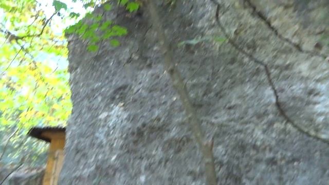Туалет держит камень. Строительный прикол))) смотреть онлайн