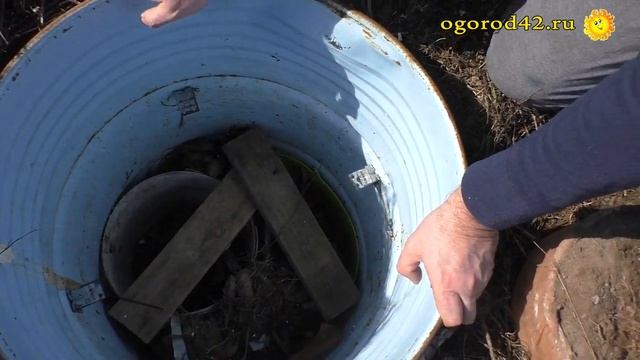 Сохранность порея, луковиц гладиолусов и корней георгинов в бочке погребе смотреть онлайн