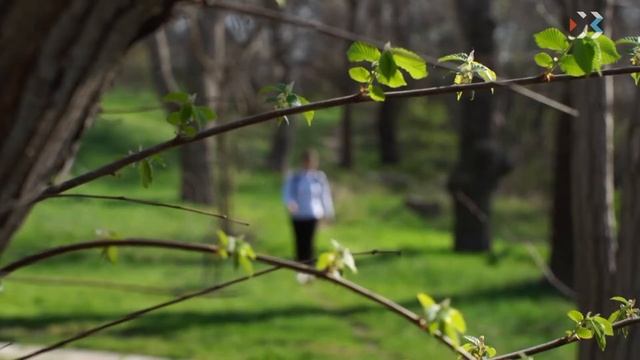 В Севастополе и Крыму активизировались клещи смотреть онлайн