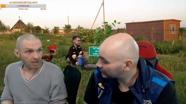 МОПС ПЬЕТ ГУТАЛАКС \ МОПС БОИТСЯ УСРАТЬСЯ смотреть онлайн