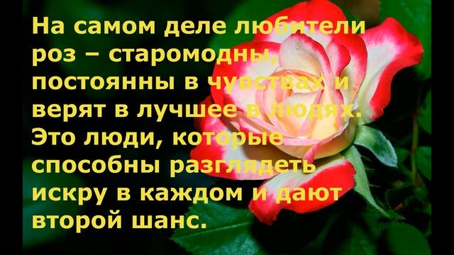 Тест: Выберите ваш любимый цветок, и узнайте о себе все!!! смотреть онлайн