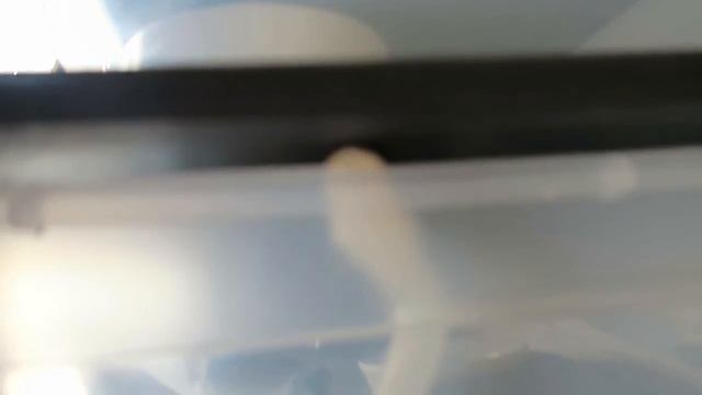 REPTILE ROOM TOUR! SEPTEMBER 2017 CORN SNAKES CARPET PYTHONS! смотреть онлайн