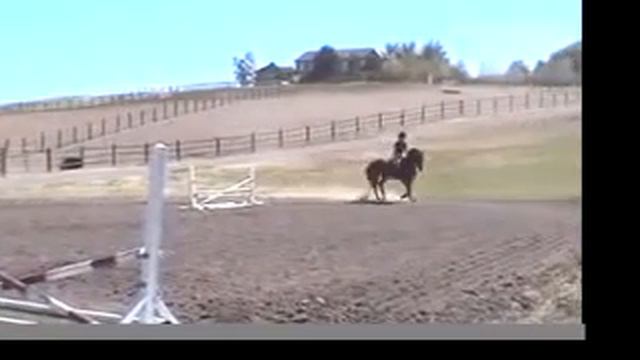 Godiva Chocolate "Diva" Video смотреть онлайн