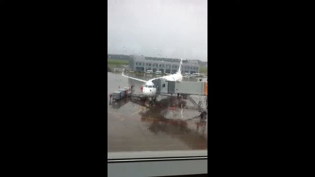 Vunukva смотреть онлайн