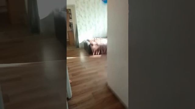 обзор умной розетки tano смотреть онлайн