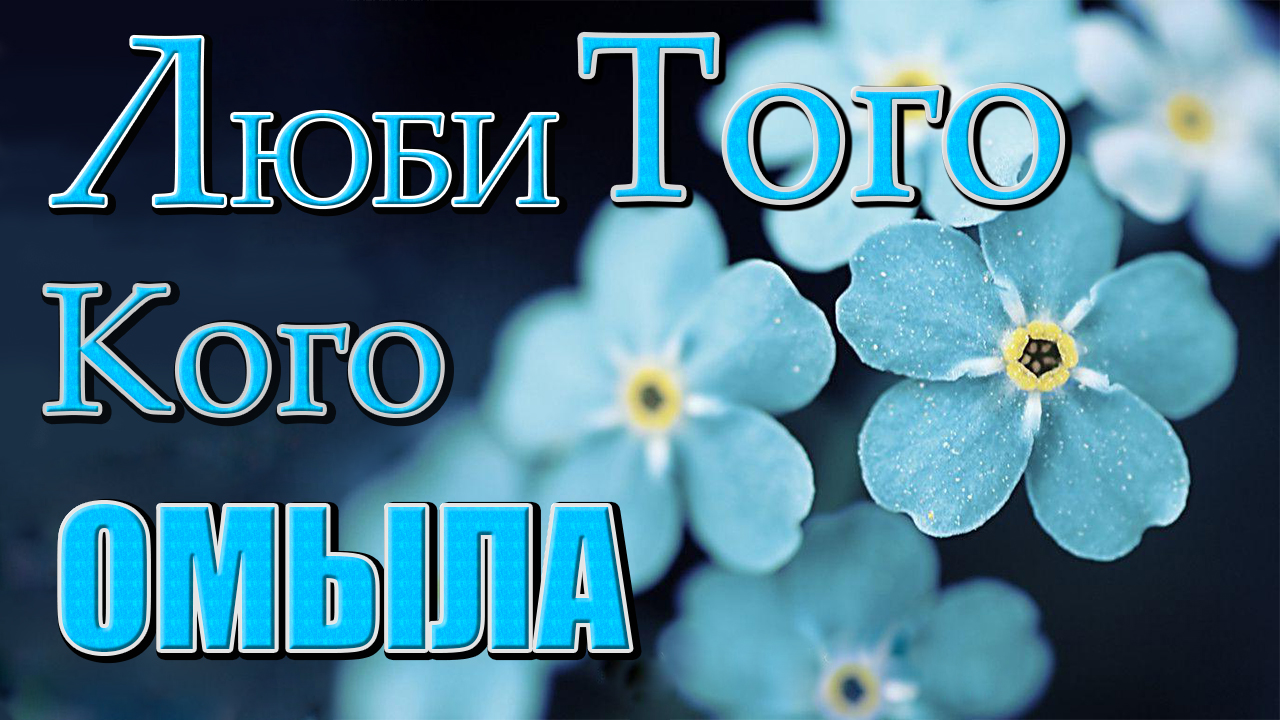 Христианские песни | Люби Того Кого омыла