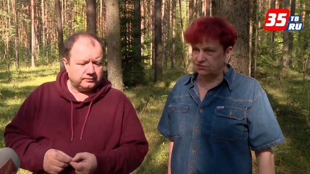 «Советы грибоведа»: грибная география Череповецкого района смотреть онлайн