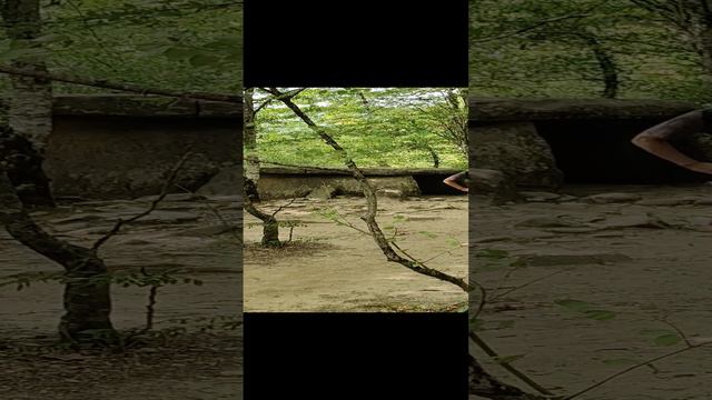 Посёлок Пшада.Дольмены.