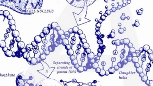 Death Domain - Programmed Cell Death смотреть онлайн