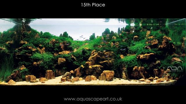 IAPLC 2011 Top 27 Aquascapes - International Aquatic Plants Layout Contest смотреть онлайн