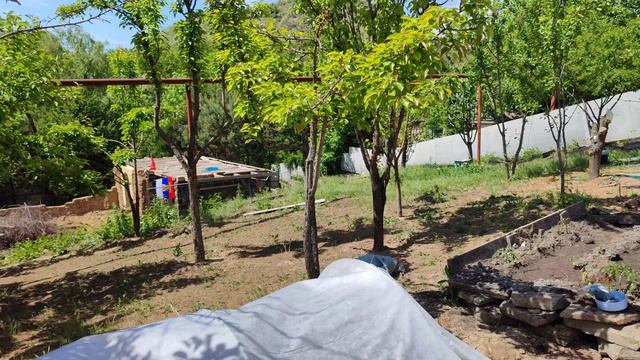 новая грядка