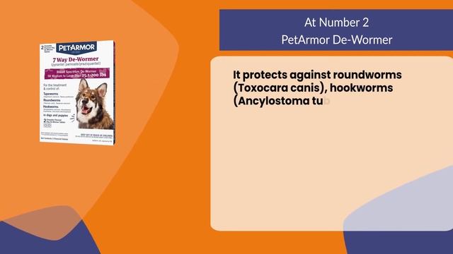 Best Dog Dewormers for Your Pet смотреть онлайн
