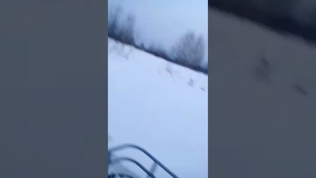 ставим петли на зайца + обзор Мухтара 15 смотреть онлайн