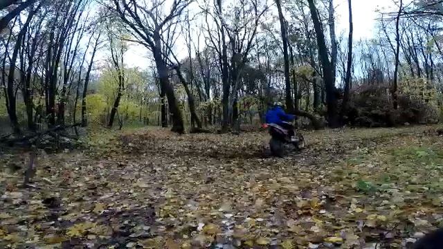 Пробная поездка на TTR 250